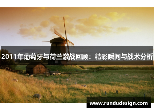 2011年葡萄牙与荷兰激战回顾：精彩瞬间与战术分析