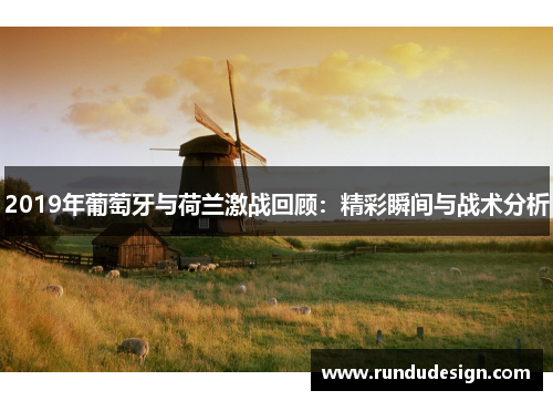 2019年葡萄牙与荷兰激战回顾：精彩瞬间与战术分析